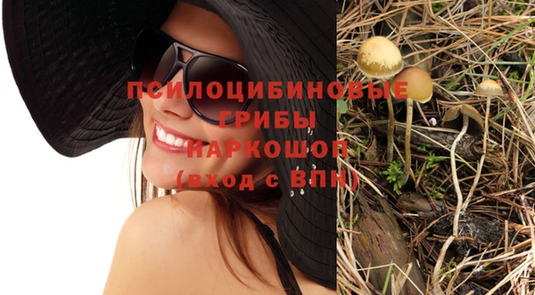 крисы Нефтекумск