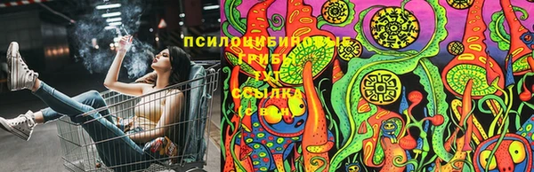 кокс Нея