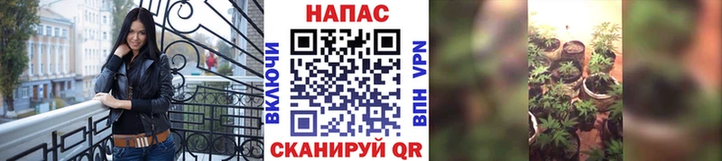 Купить где Набережные Челны Бошки Шишки конопля